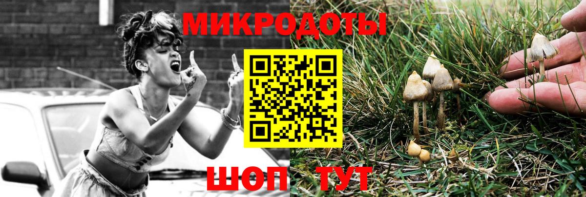 Холмск  Псилоцибиновые грибы GOLDEN TEACHER  Вход с VPN 